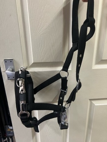 Jhl lunge cavesson black - lunge,