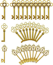 Mixed Set of 30 Large Skeleton