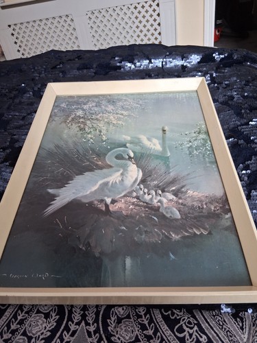 Vernon ward framed print - framed,