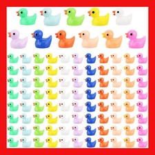 260 Pack Jeep Resin Ducks In
