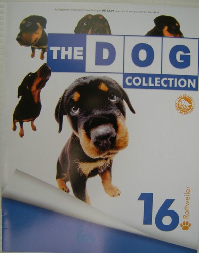 The dog collection issue - collection,