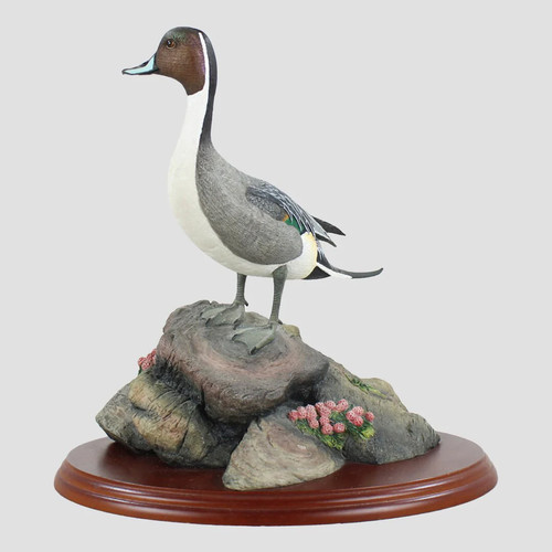 Pintail border fine arts - arts, birds