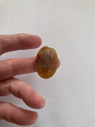 Fossil coral cabachon - fossil,