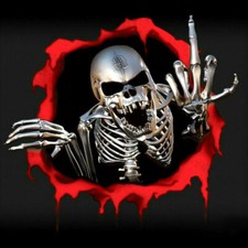 3D Metal Skeleton Skull Decal