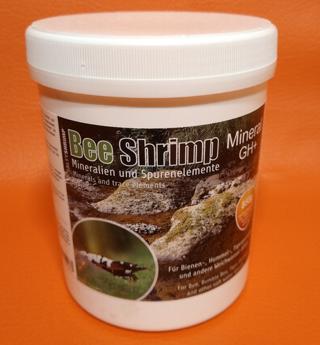 Salty shrimp bee - salty,