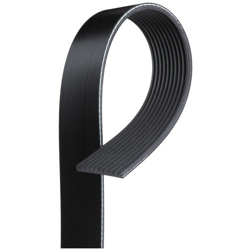 Rib multi drive - 10, belt