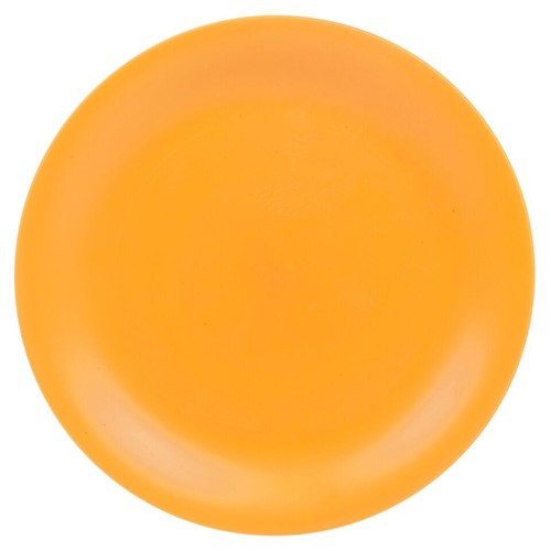 Kids coloured plastic dinner - kids,