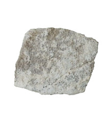 Dinosaur Egg Shell Saltasaurus