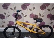 Kids Venom Terrain Bike