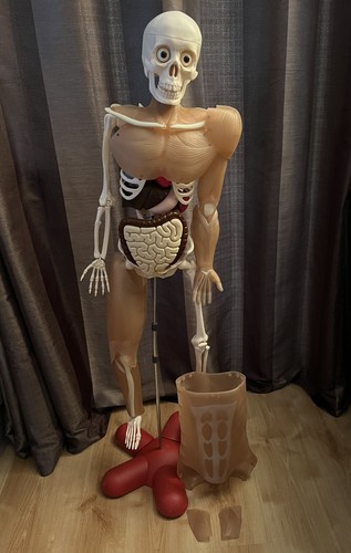 How your body - how,