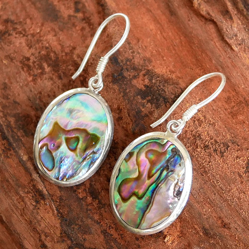 Paua abalone earrings shell - paua,