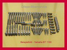V2A screws engine screws
