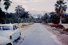 1959 Street Scene Vauxhall