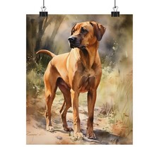 Rhodesian Ridgeback Dog Art