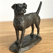 Bronze border terrier - bronze,