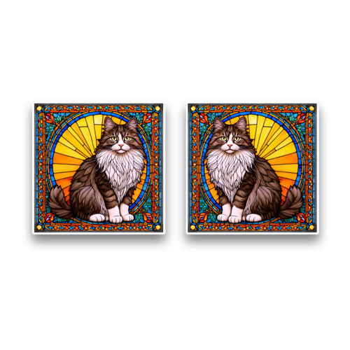 Small norwegian forest cat - norwegian,