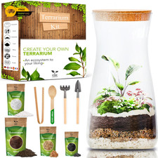 DIY Terrarium Kit for Plants -