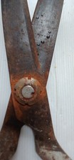 Large sharp vintage garden