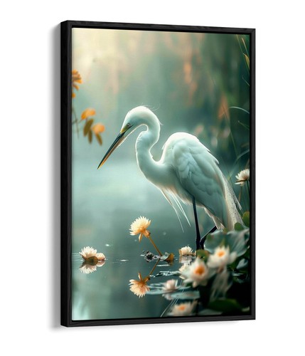 Beautiful egret bird - bird, the