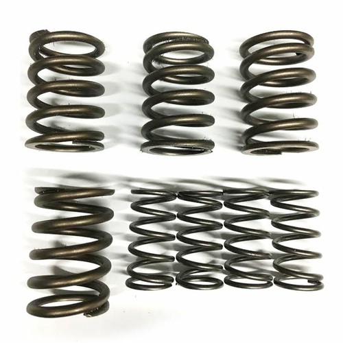 Hepolite valve springs set - hepolite,