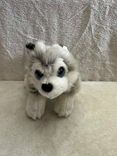 Keel toys cuddle - keel, puppies