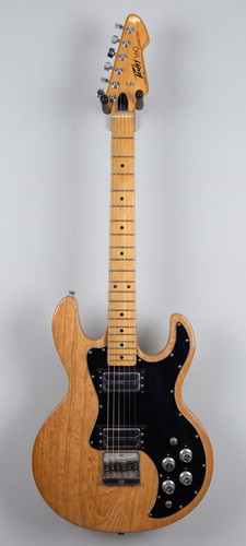 1981 peavey usa electric - peavey,