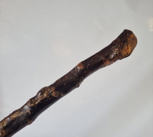Antique irish blackthorn - antique,