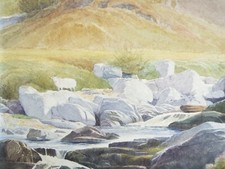 Original Watercolour,  'Sheep