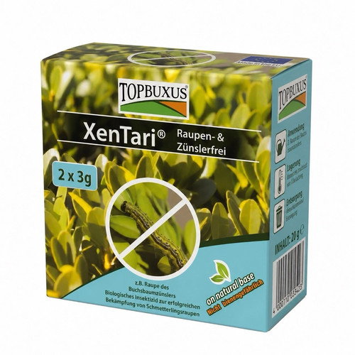 Topbuxus xentari boxwood - xentari,