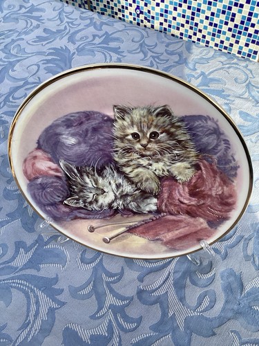 Playful kitten series - playful,