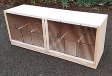 Double finch breeding - double,