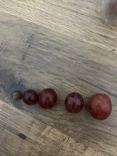 Fanily Grapes With Baby Grape