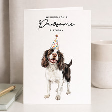 Springer Spaniel Birthday Card
