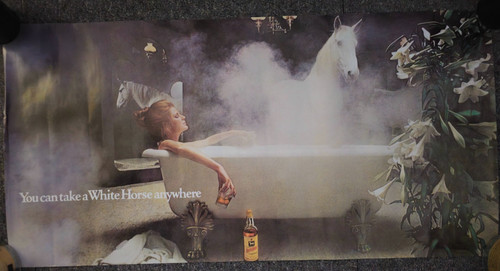 Vintage 1970s white horse - vintage,