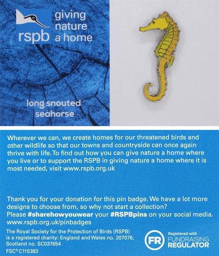Rspb pin badge - pin,