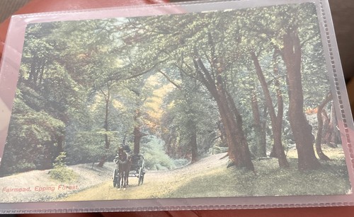 Fairmead epping forest - fairmead,
