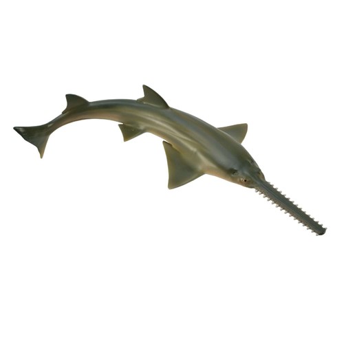 Collecta sawfish - collecta,