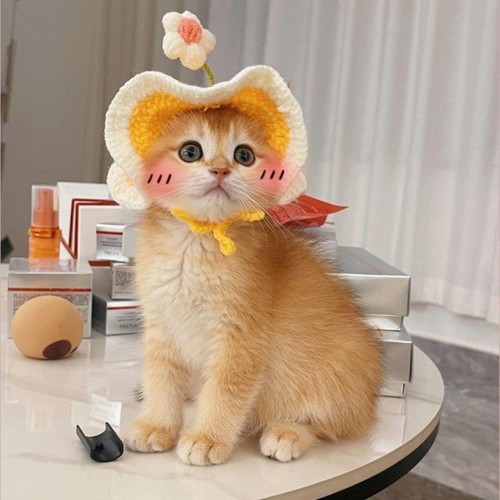 Cute cat hat adjustable - cat,