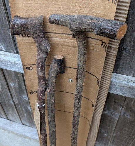 Blackthorn walking sticks - blackthorn,
