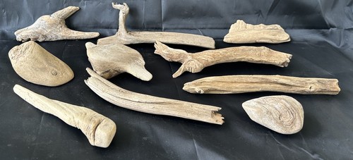 Lot driftwood pieces - of,