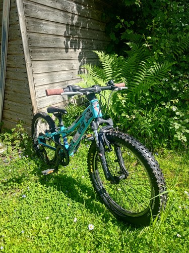 Scott scale - (20”, wheels)