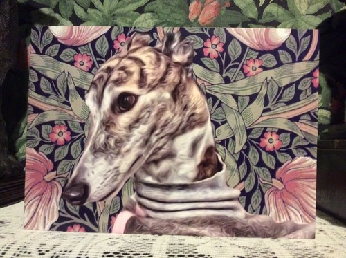 Greyhound lurcher - ,,