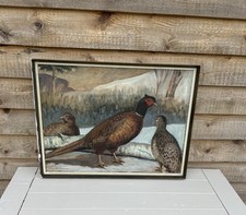 vintage painting of Pheasants