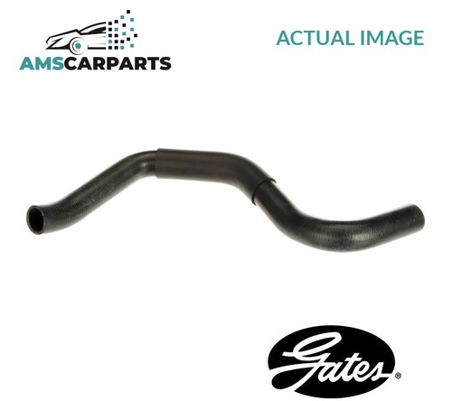 Radiator hose lower - hose, 05-5628
