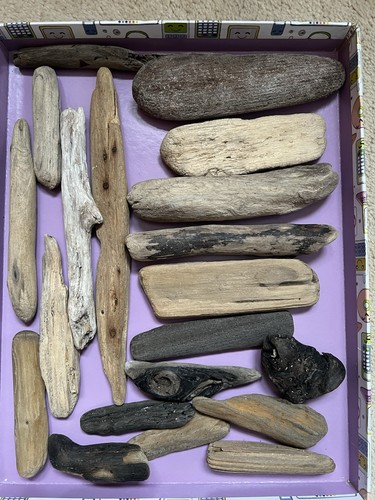 Chunky driftwood pieces - 20,