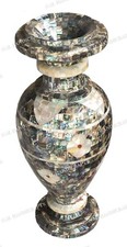 18 Inches Abalone Shell & Mop
