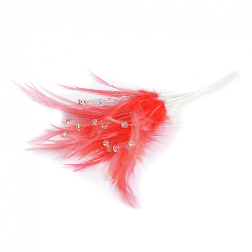 Diamante feathers corsage - feathers,