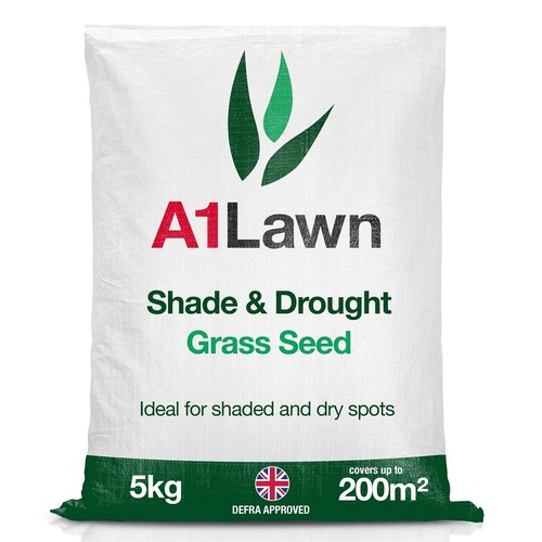 Lawn shade and drought - lawn,