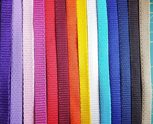 10mm webbing dog slip - slip, show