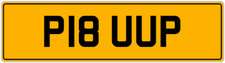 PICK UP TRUCK OLD P REG PREFIX